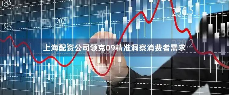 上海配资公司领克09精准洞察消费者需求