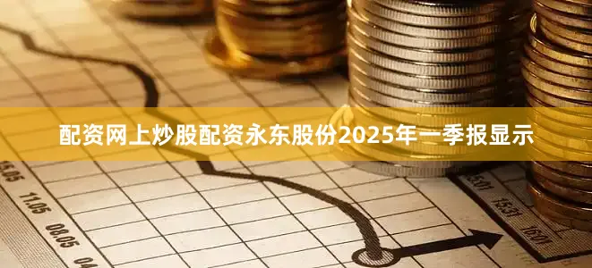 配资网上炒股配资永东股份2025年一季报显示