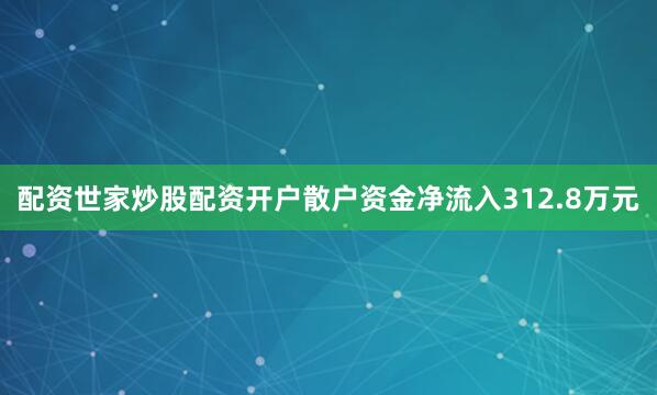 配资世家炒股配资开户散户资金净流入312.8万元