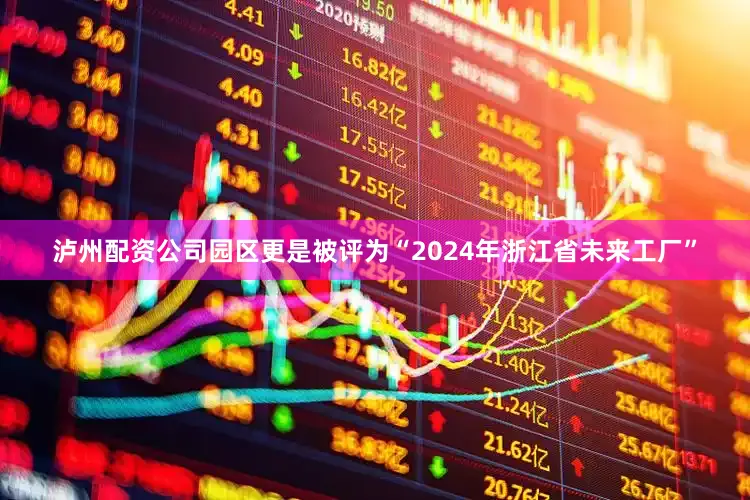 泸州配资公司园区更是被评为“2024年浙江省未来工厂”