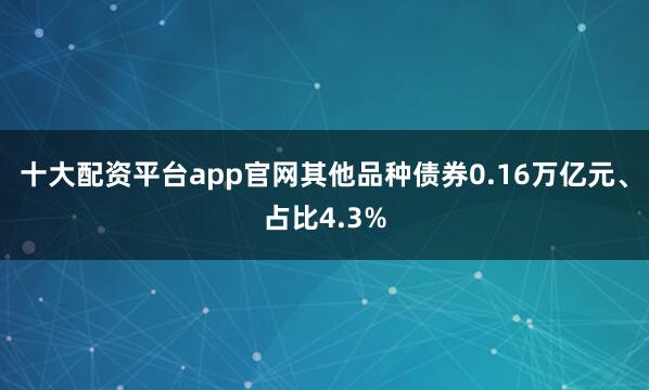 十大配资平台app官网其他品种债券0.16万亿元、占比4.3%